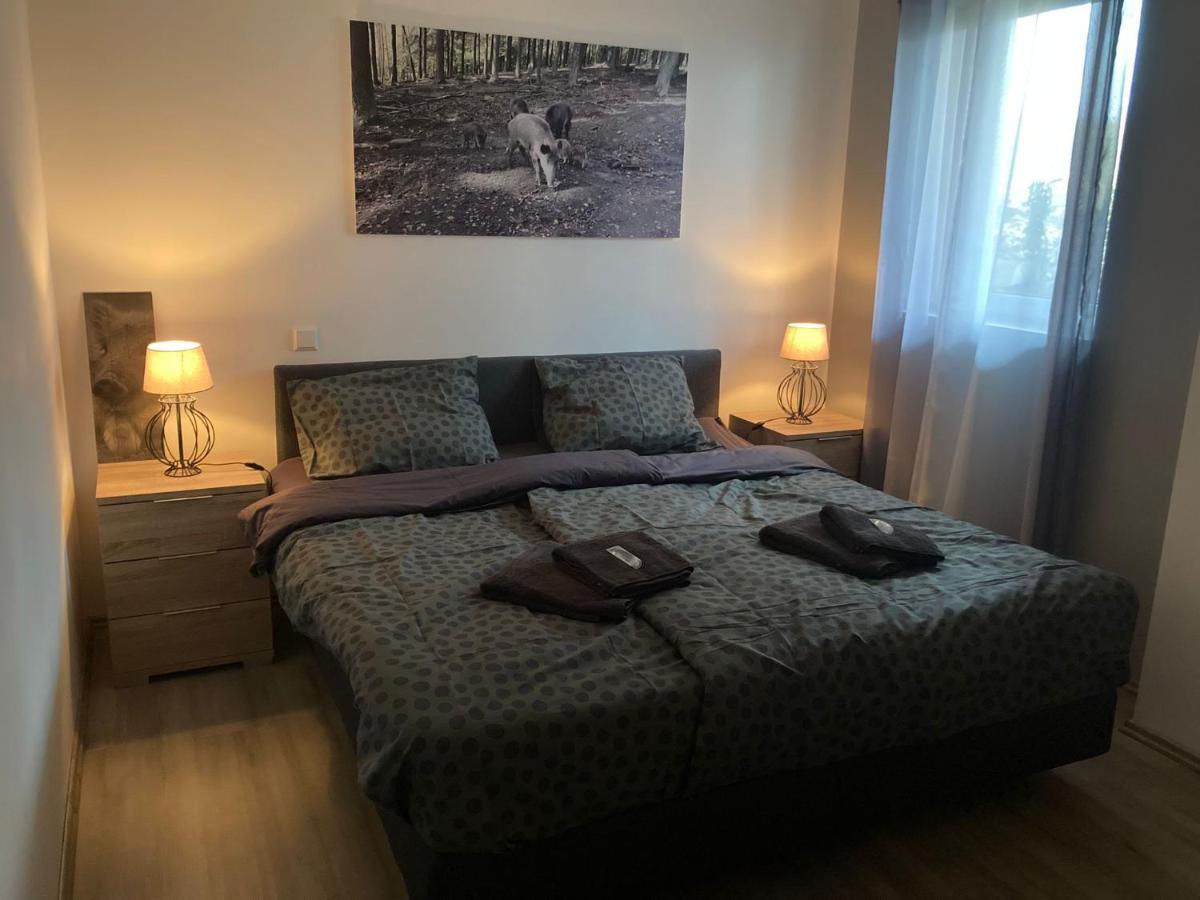 Comfortable 4-Person Apartments Winterberg Medebach Eksteriør billede