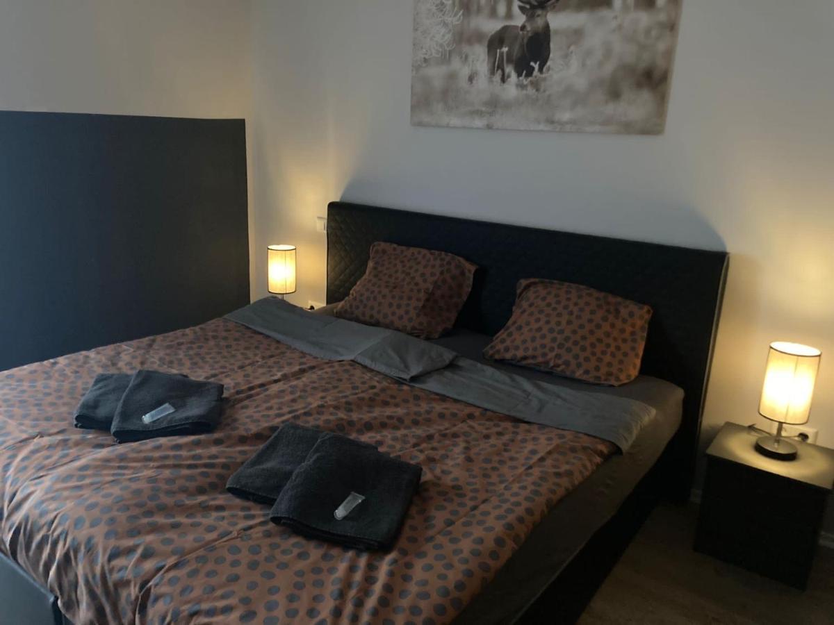 Comfortable 4-Person Apartments Winterberg Medebach Eksteriør billede
